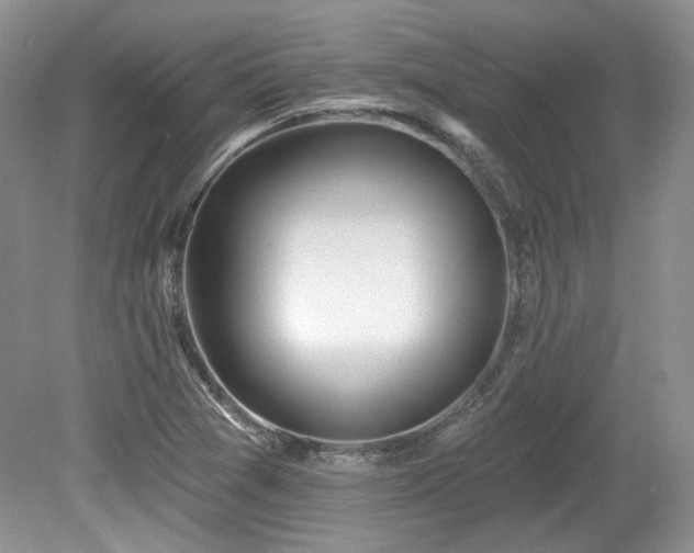 X0000080131361200612081219