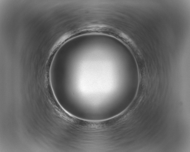 X0000080131362200612081219