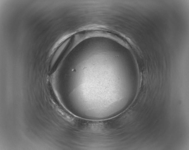 X0000080131363200612081219