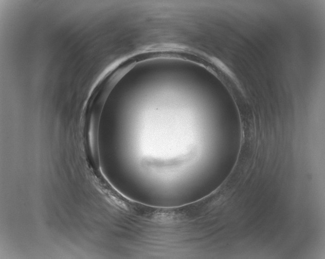 X0000080131364200612081219