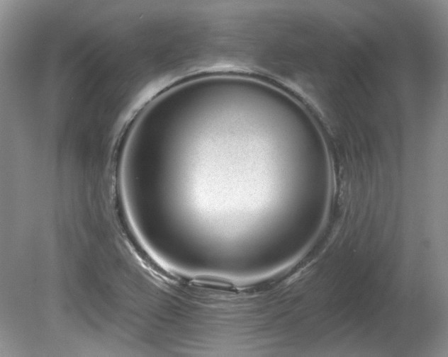 X0000080131367200612081219