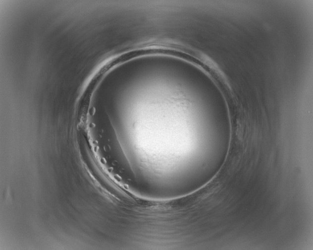 X0000080131368200612081219