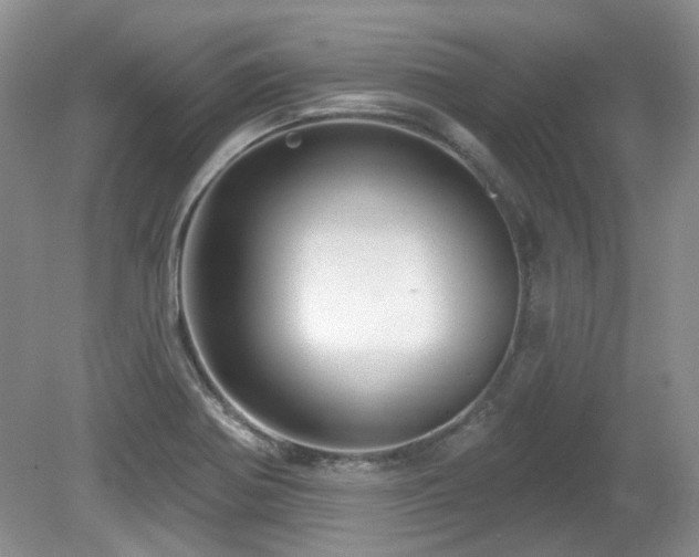 X0000080131370200612081219