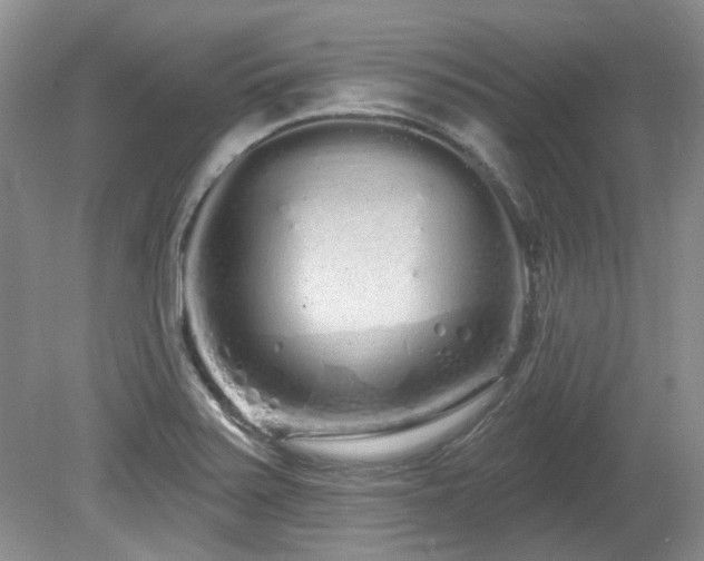 X0000080131371200612081219