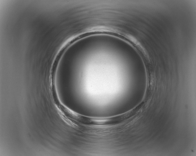 X0000080131372200612081219