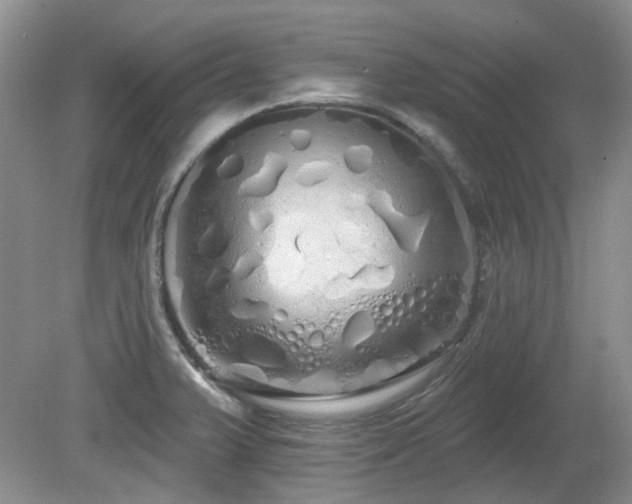 X0000080131375200612081219