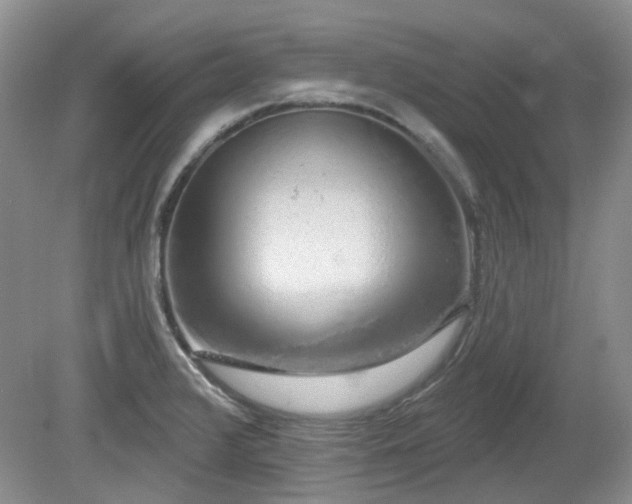 X0000080131376200612081219