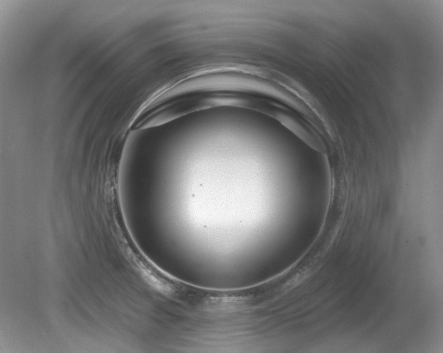 X0000080131377200612081219