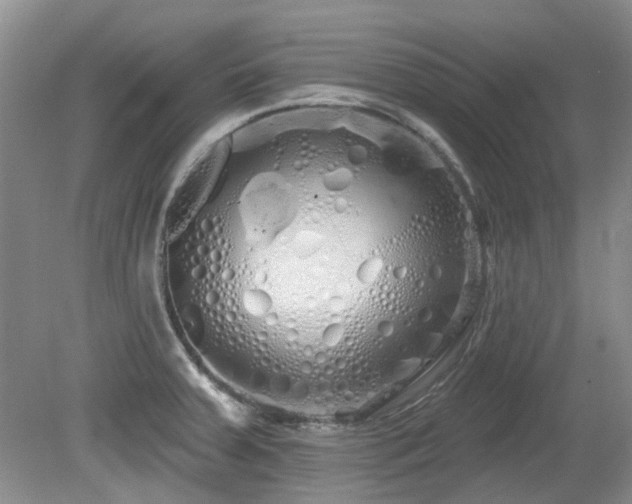 X0000080131379200612081219