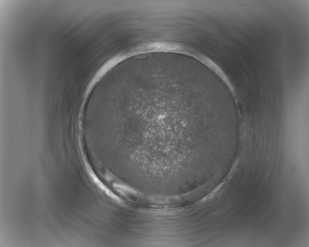 X0000080131381200612081219