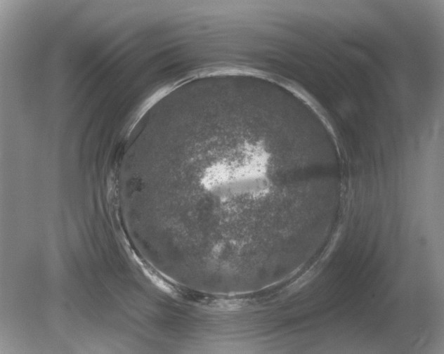 X0000080131385200612081219