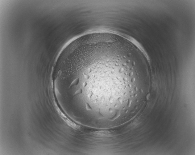 X0000080131388200612081219