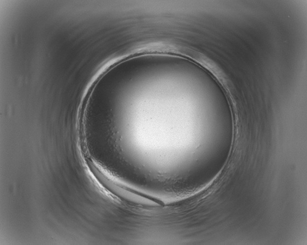 X0000080131392200612081218