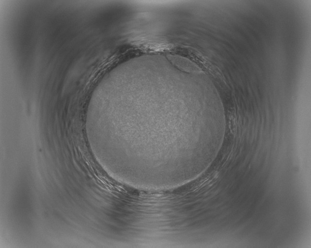 X0000080131393200612081218