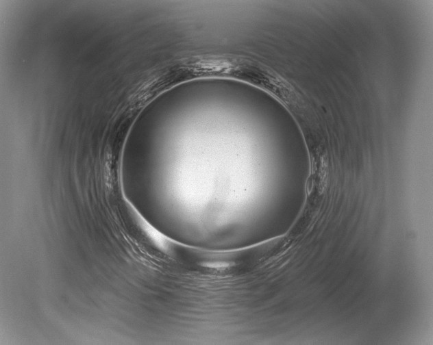 X0000080131394200612081218