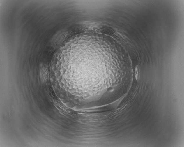 X0000080131395200612081218