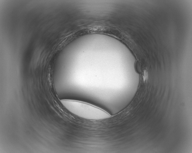 X0000080131396200612081218