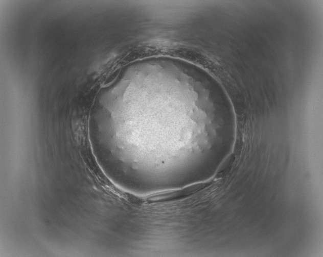 X0000080131397200612081218