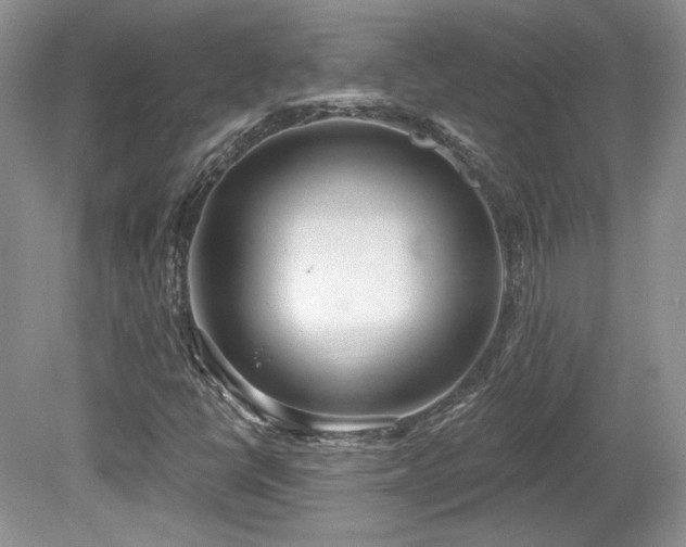 X0000080131398200612081218