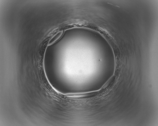 X0000080131399200612081218