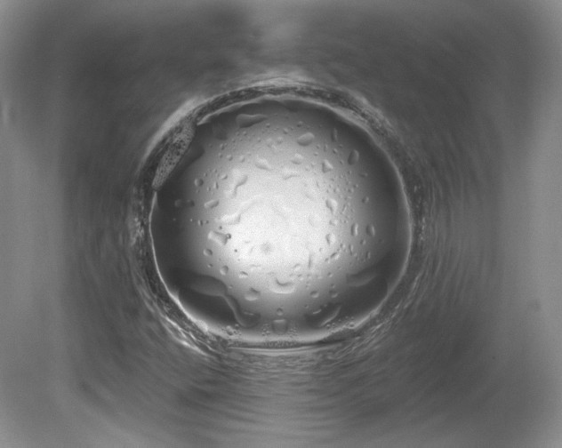 X0000080131400200612081218