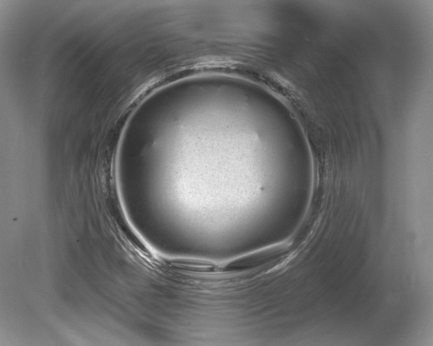 X0000080131401200612081218