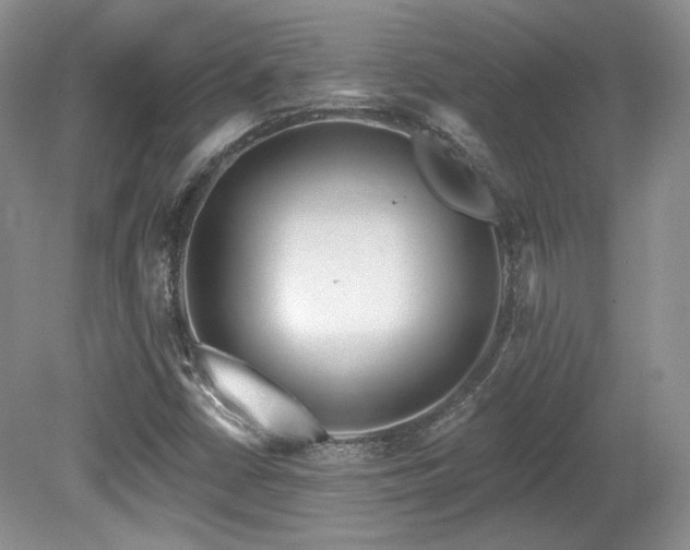 X0000080131402200612081218