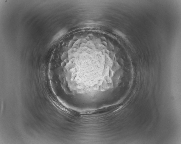 X0000080131403200612081218