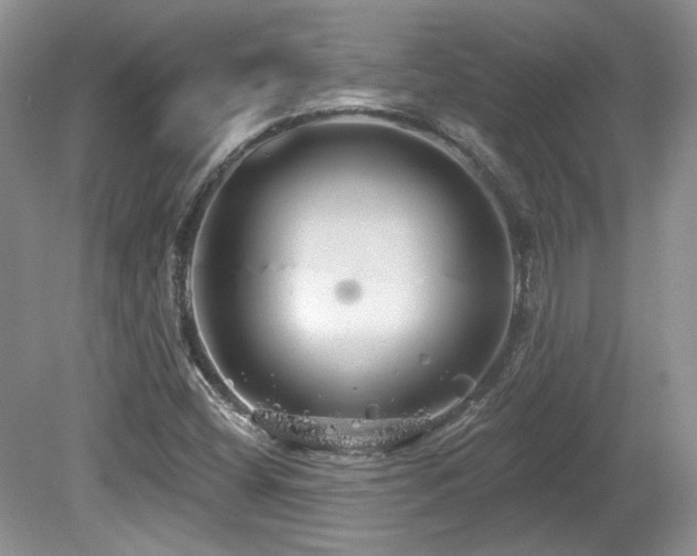 X0000080131404200612081218