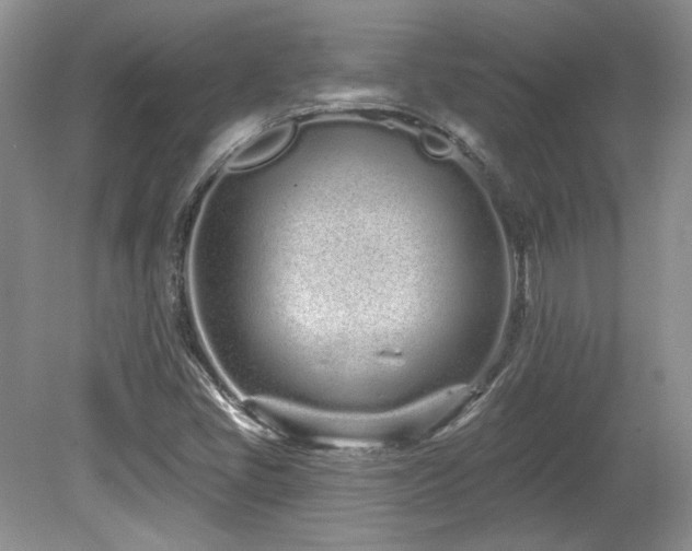 X0000080131405200612081218