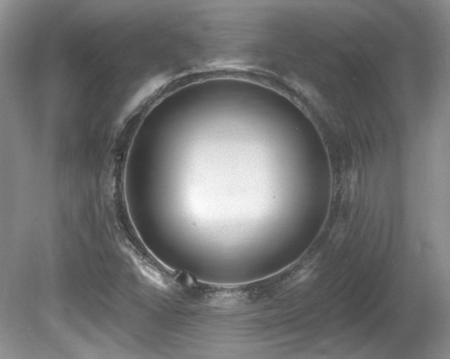 X0000080131406200612081218