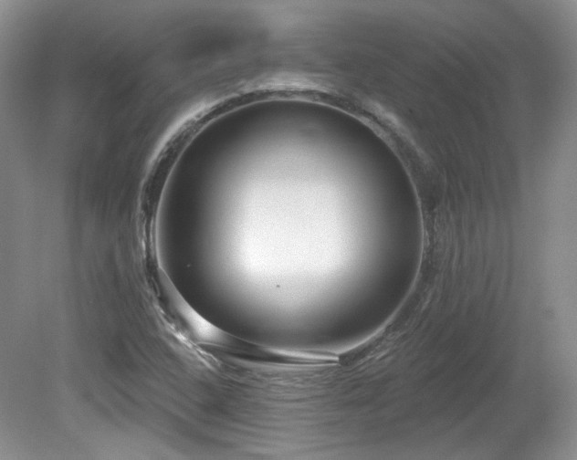 X0000080131408200612081218