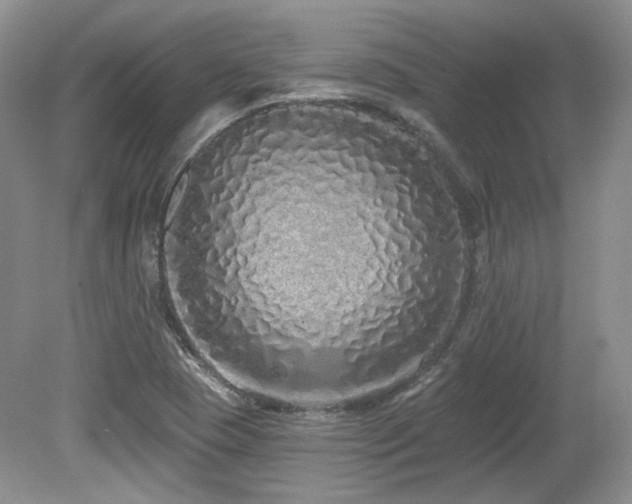 X0000080131409200612081218