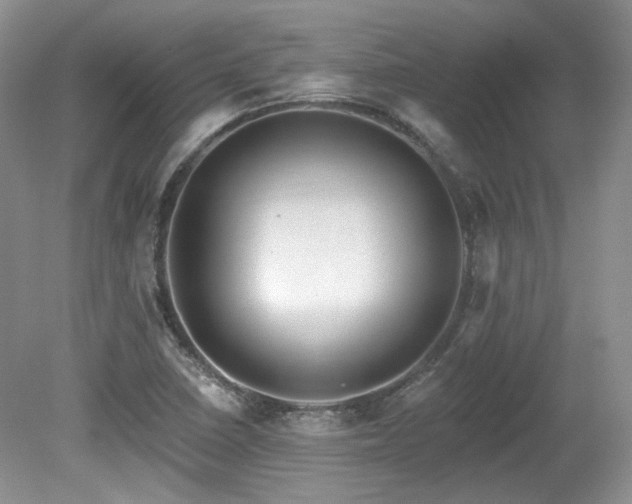 X0000080131410200612081218