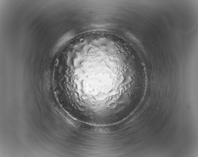 X0000080131411200612081218