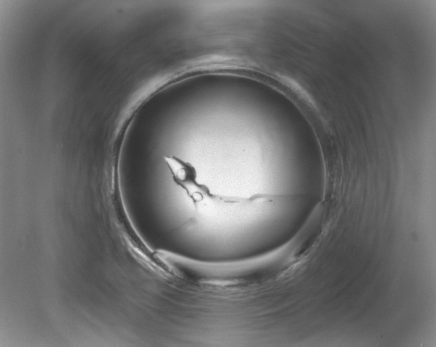 X0000080131413200612081218