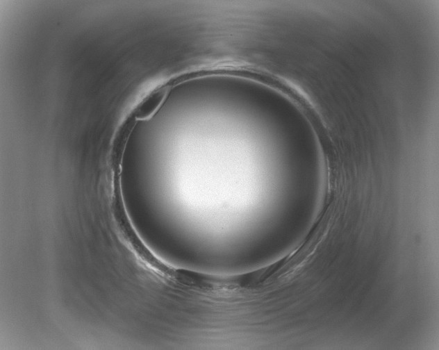 X0000080131414200612081218