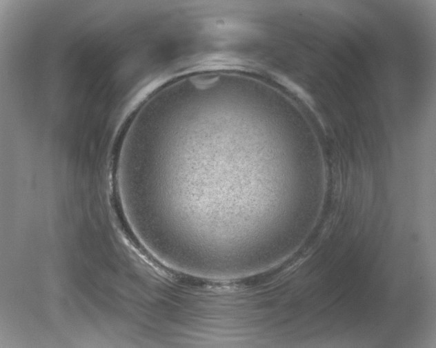 X0000080131415200612081218