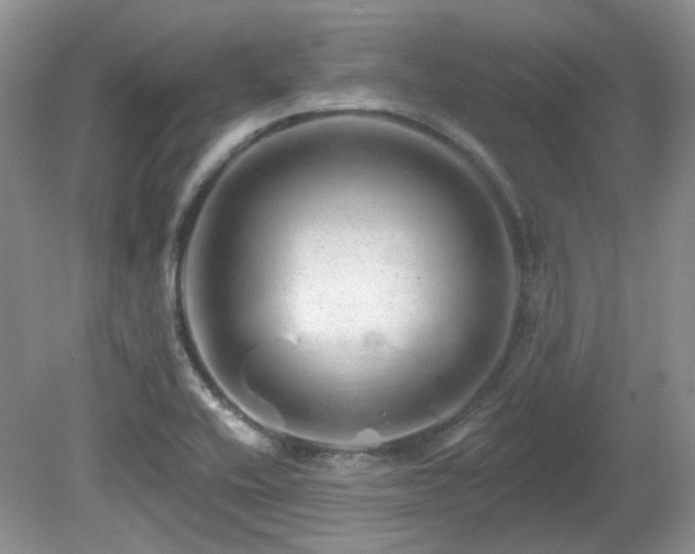 X0000080131416200612081218