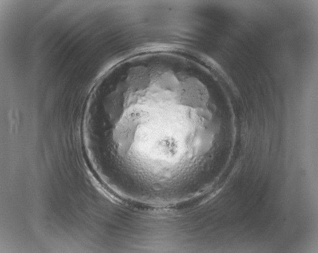 X0000080131417200612081218