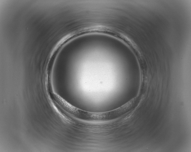 X0000080131418200612081218