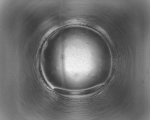 X0000080131419200612081218