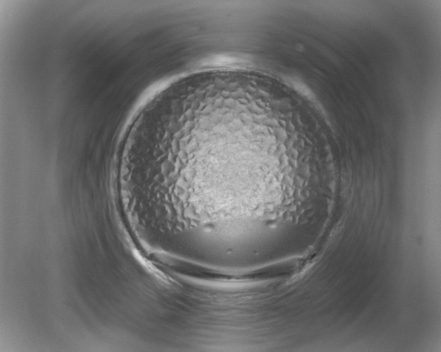 X0000080131421200612081218