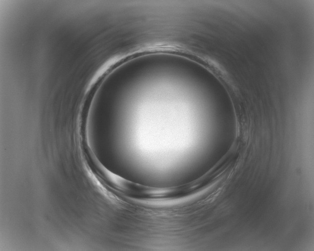 X0000080131422200612081218