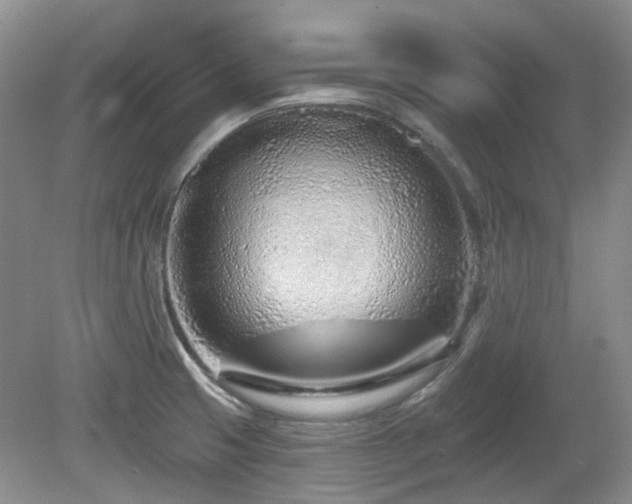 X0000080131425200612081218