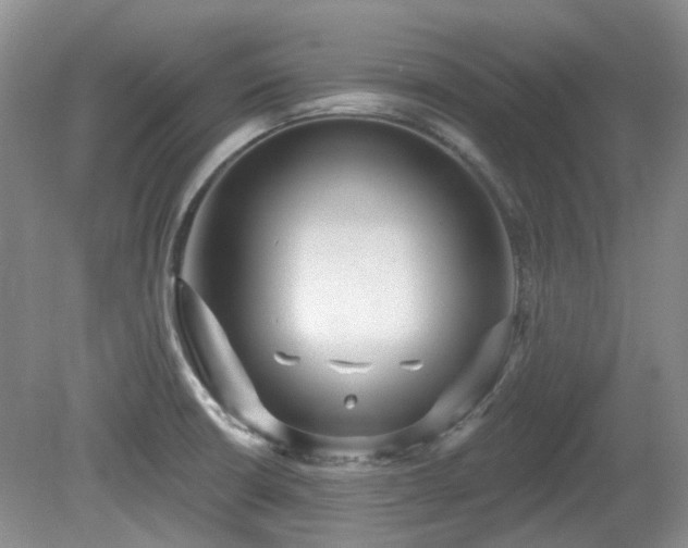 X0000080131426200612081218