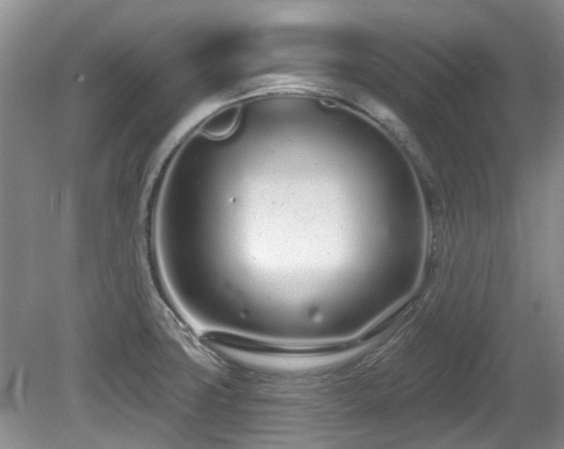 X0000080131427200612081218