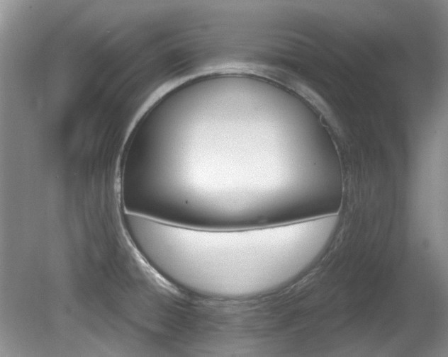 X0000080131428200612081218