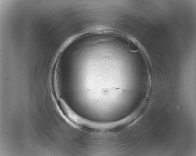 X0000080131429200612081218