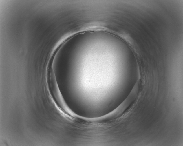 X0000080131430200612081218